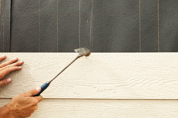 Best Stucco Siding  in Minonk, IL